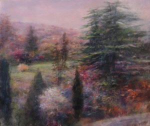 cedri_sul_poggio